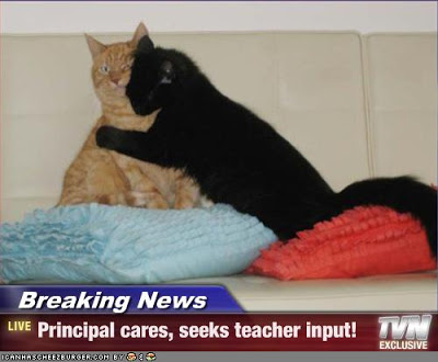 principal-cares