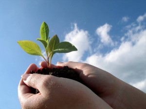 growth-300x224