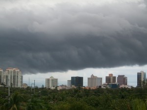 100_09431-300x225