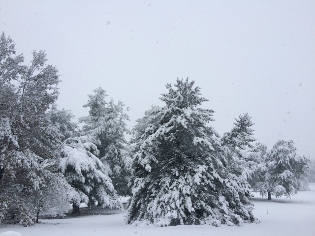 thanksgiving-snow-640x480