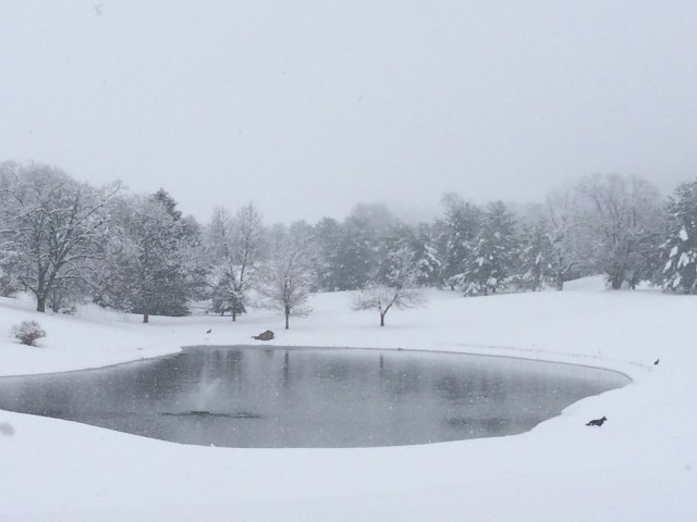 thanksgiving-snow1-640x480