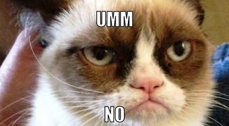grumpy-cat-no-2