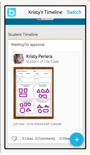 bloomzstudenttimeline