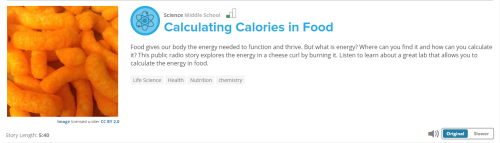 listenwisecountingcalories-500x143