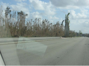 damage_from_hurricane_4