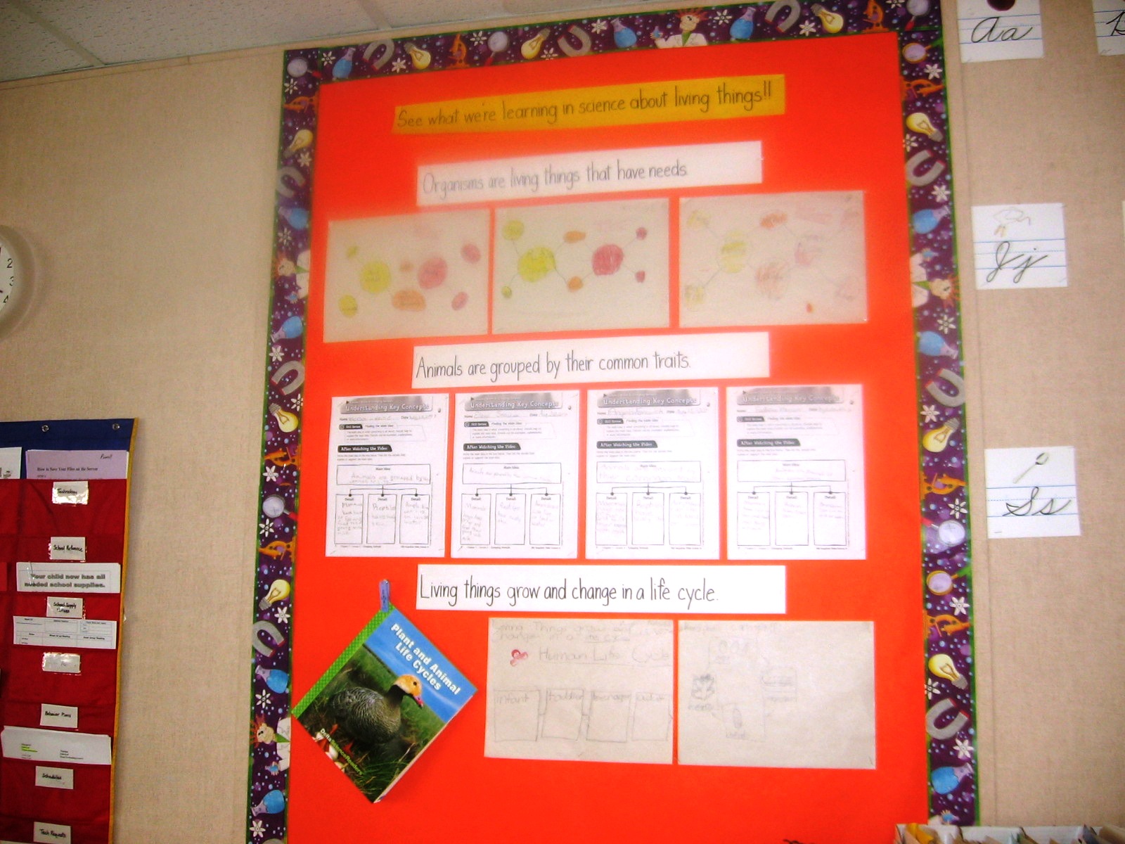 sci-living-things-bboard